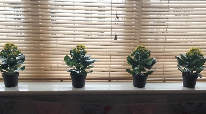 Flower pots along a window sill.